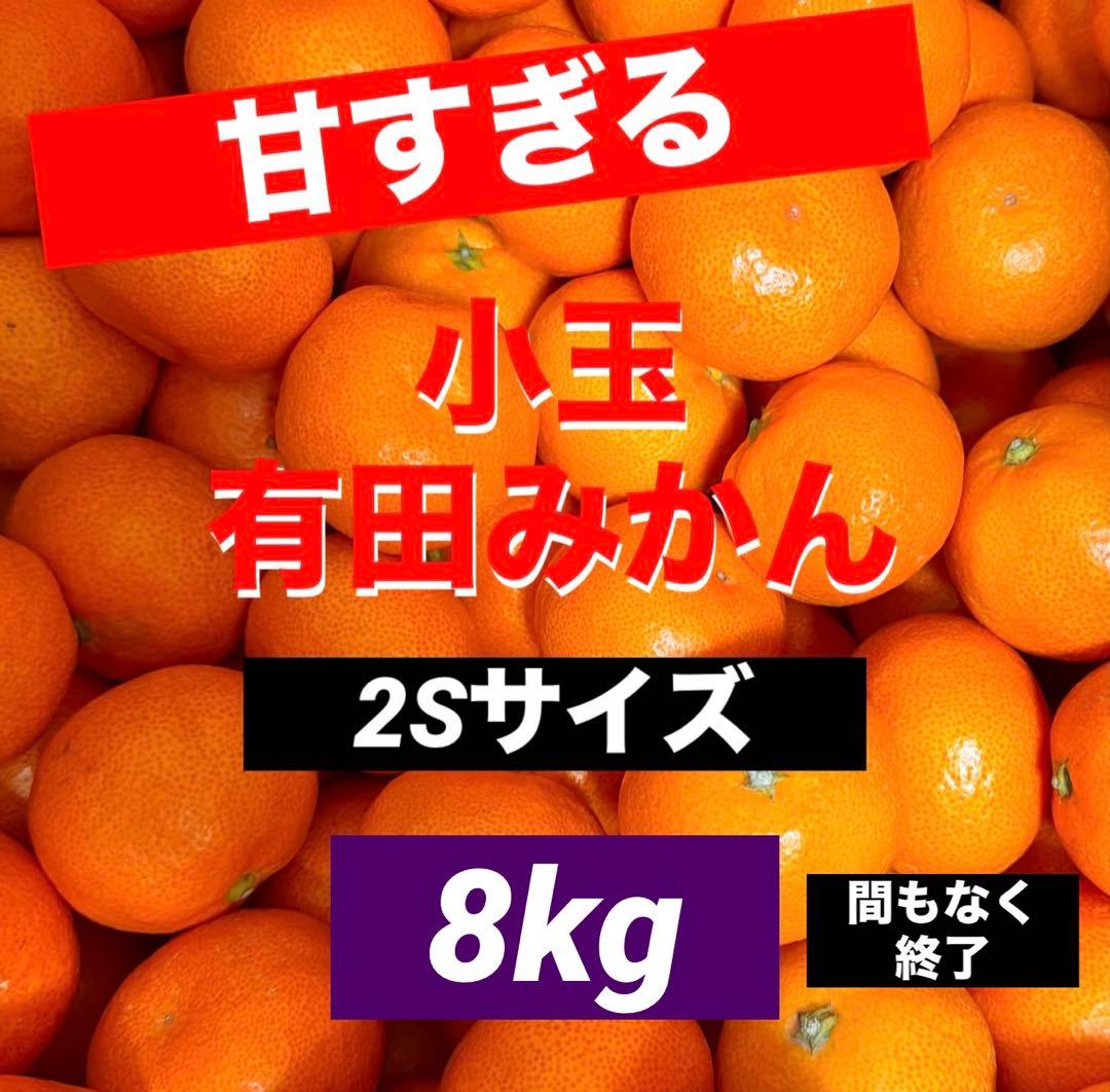 973)数量限定　甘すぎる　有田みかん　果物 　みかん　小玉　旬