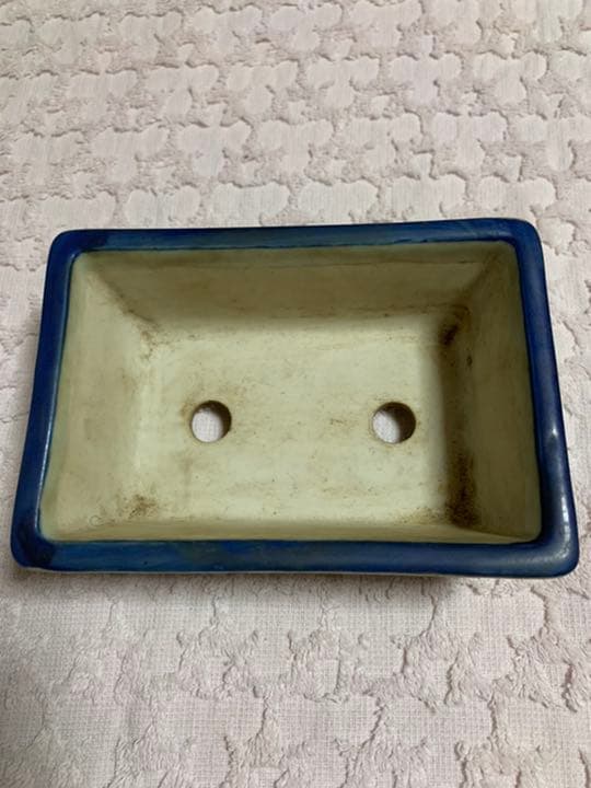 盆栽鉢　松泉