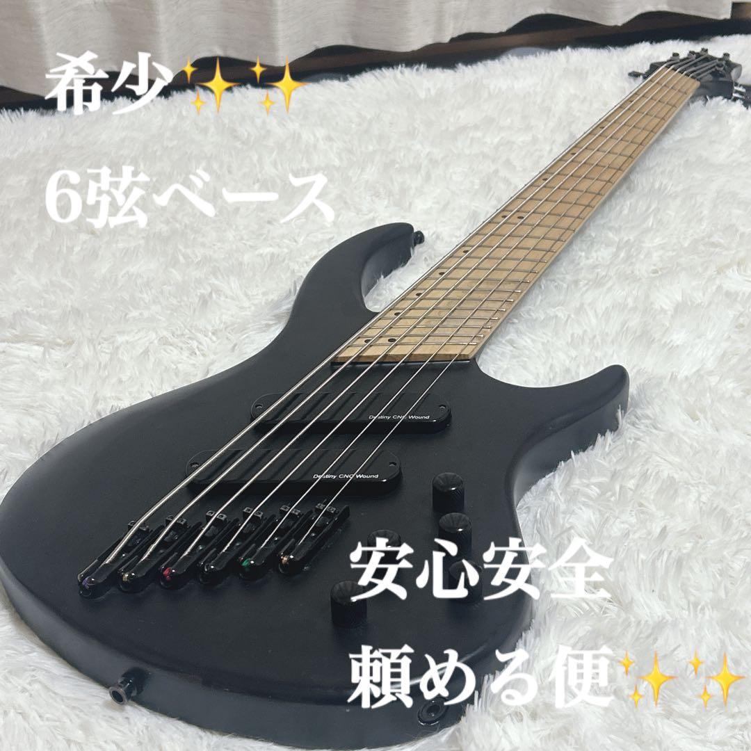 希少　6弦ベース　ベース　6弦 iyv オーダー　カスタム