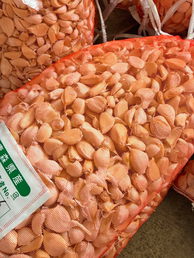 新物　青森県バラにんにく10Kg S