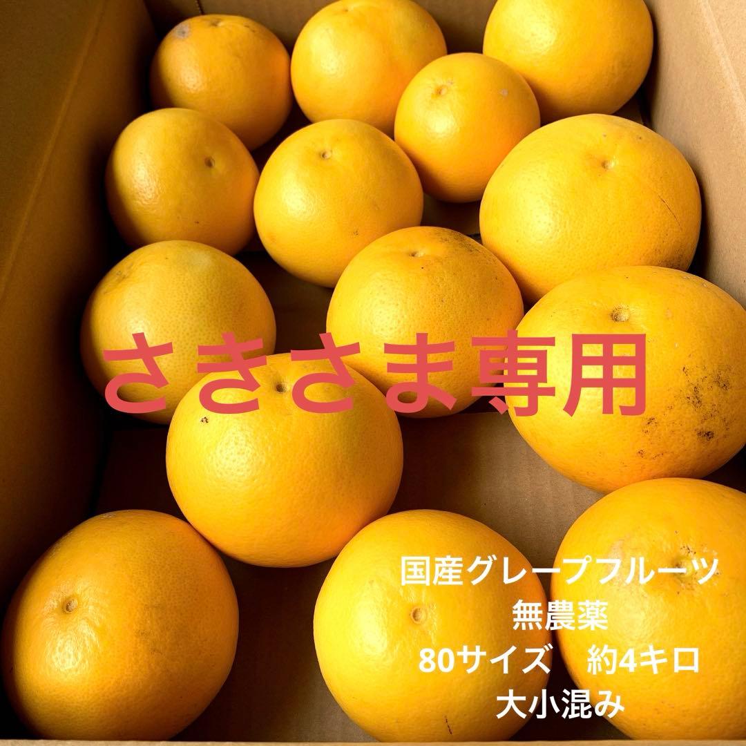 グレープフルーツ　国産