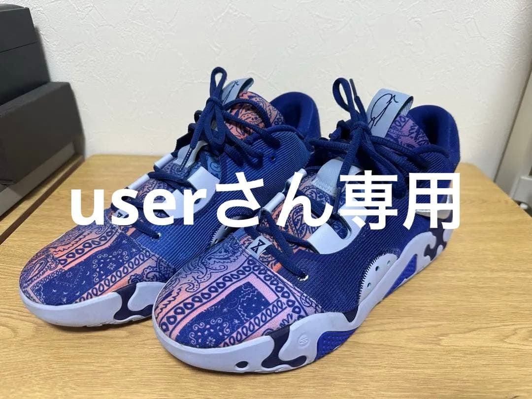 シューズ(男性用) NIKE PG6