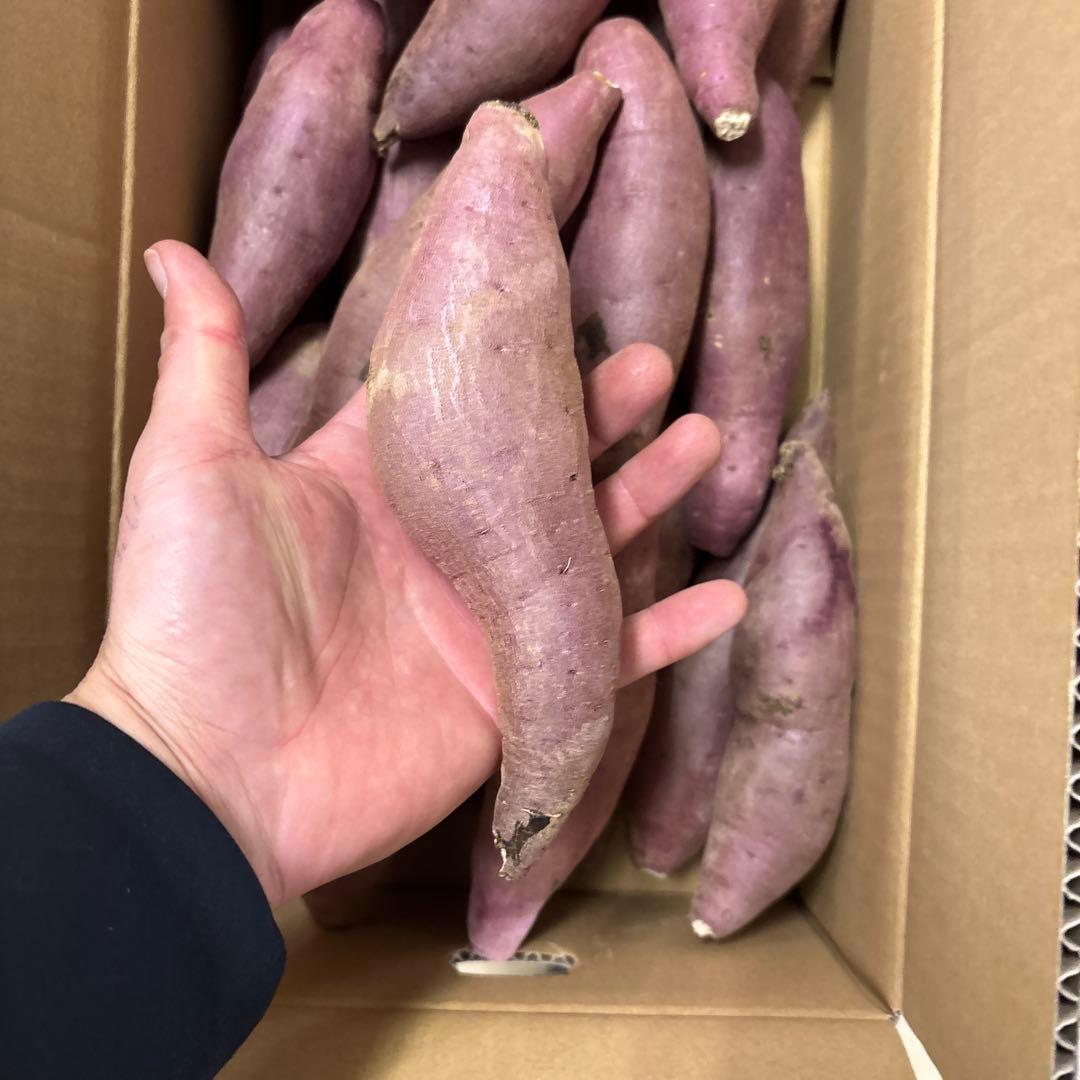 箱込み5キロ　農薬不使用　紅はるか「さつまいも」 Mサイズ