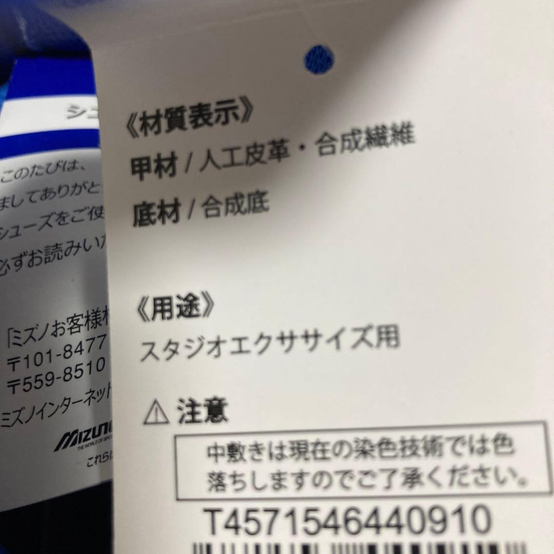【未使用】ウェーブダイバーず　ミズノ　トレーニングシューズ　フィットネス