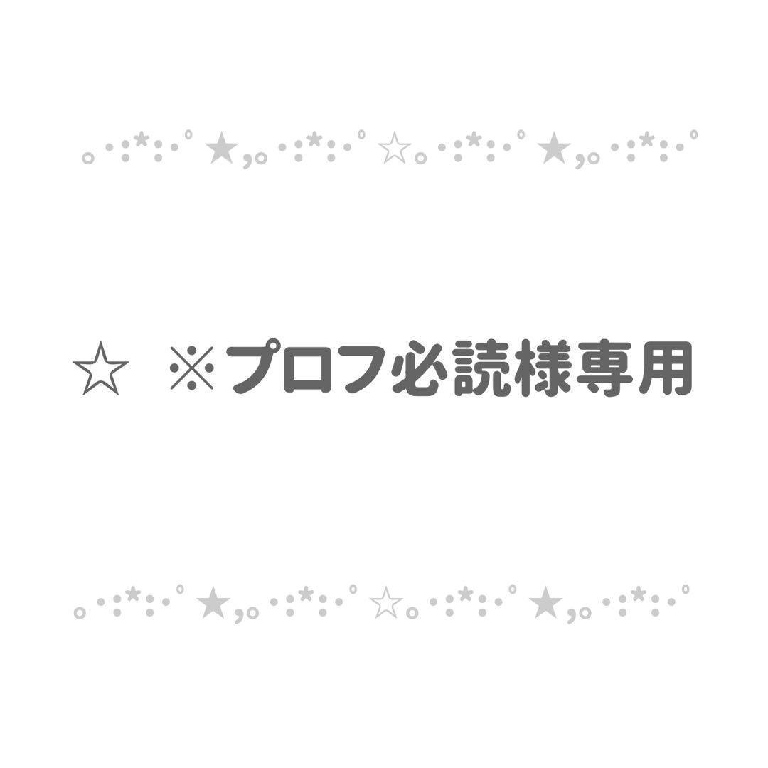 ☆ ※プロフ必読