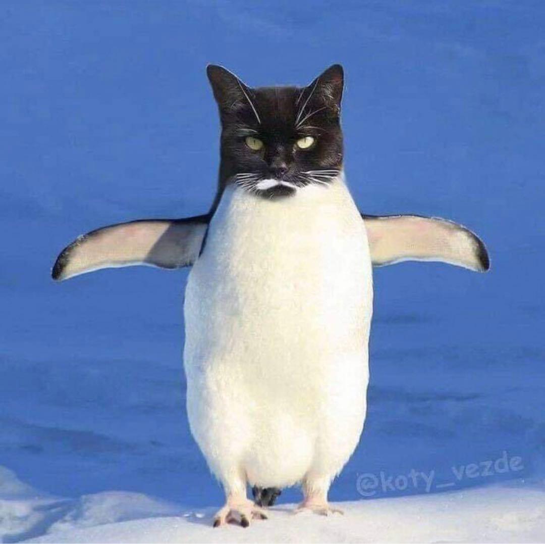 あぷる