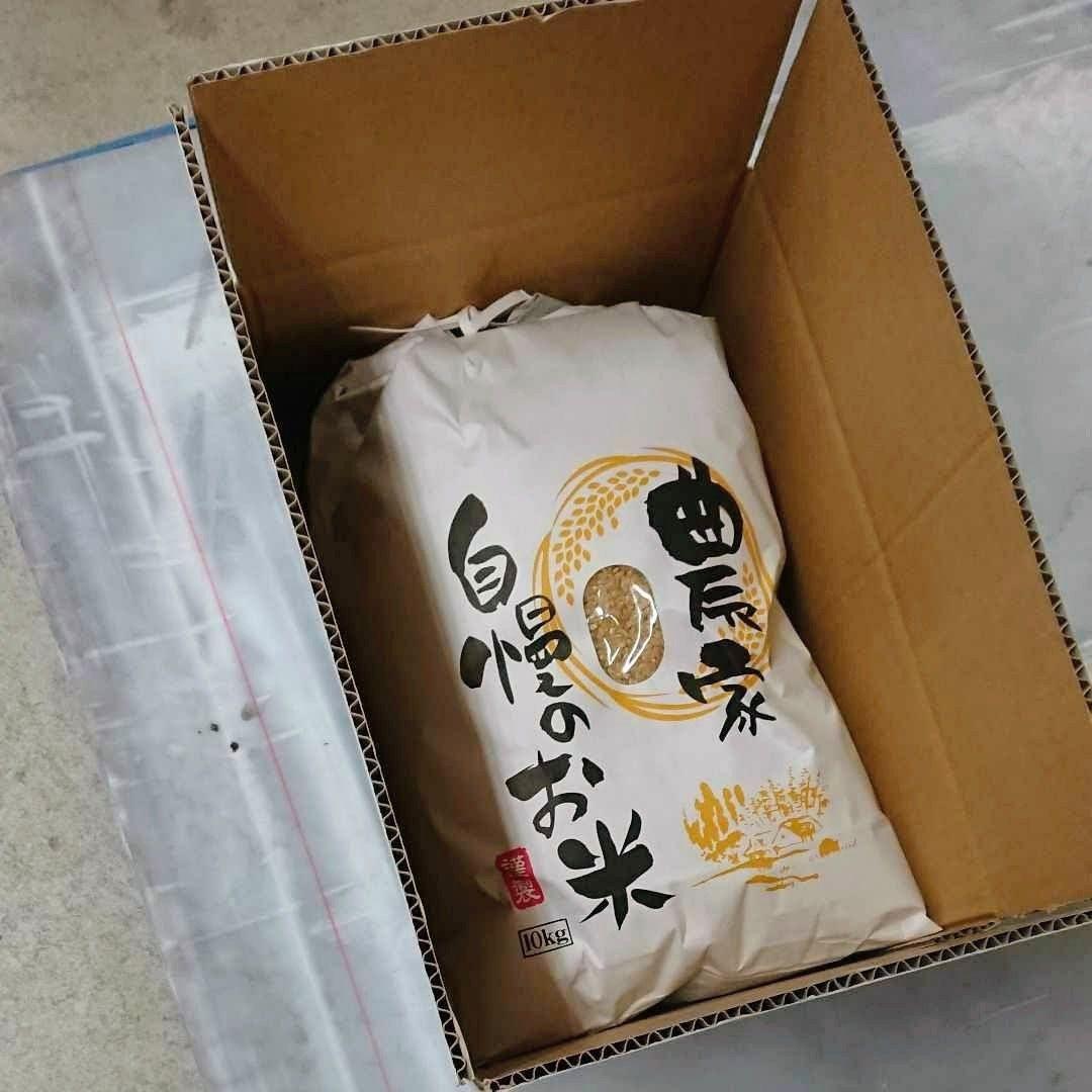 令和7年 新米！精米無料！玄米15キロ 栃木県大田原 黒羽産コシヒカリ 15㎏