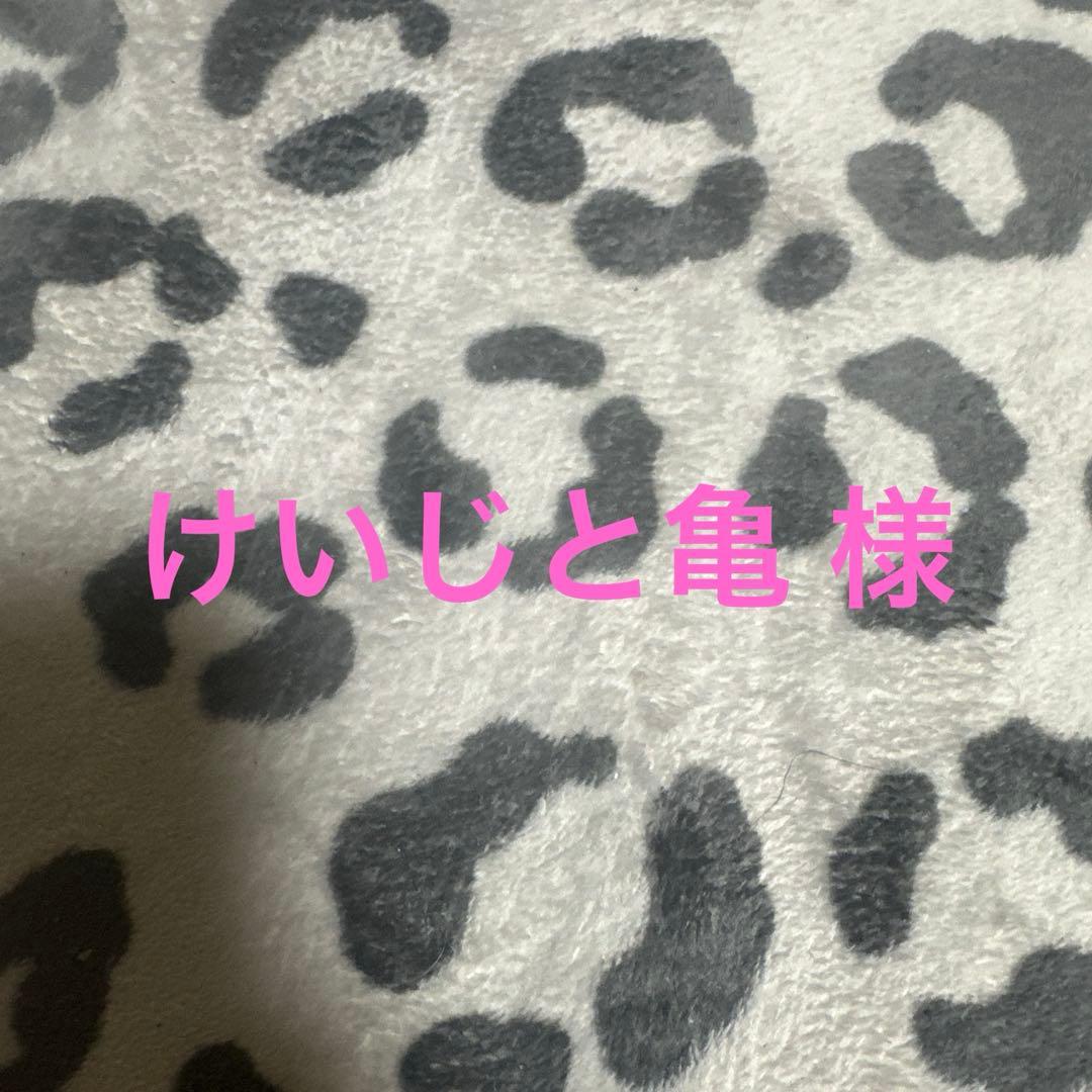 けいじと亀