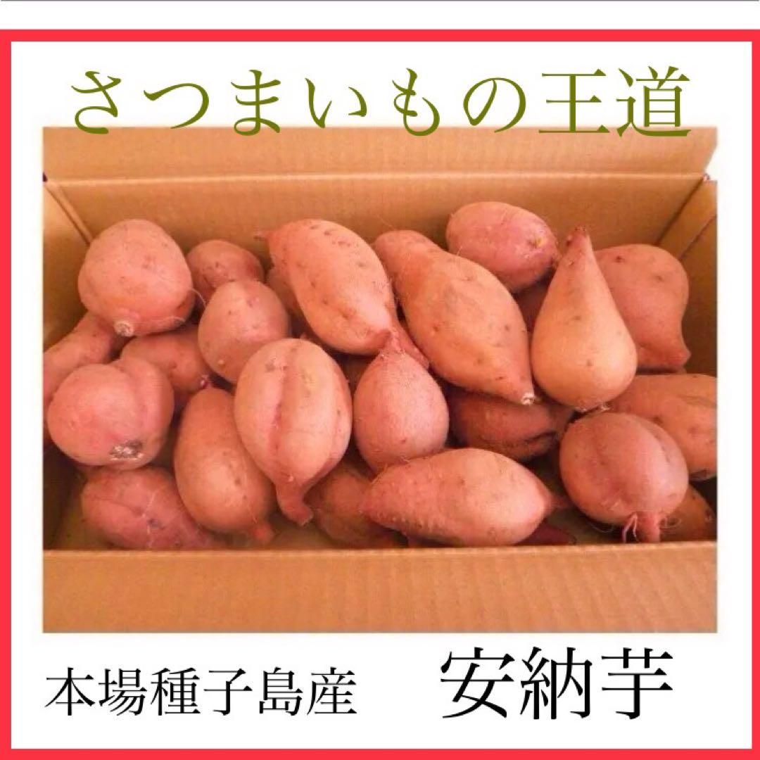種子島産安納芋　Sサイズどんと20kgさつまいもの王道 安納芋紅　08