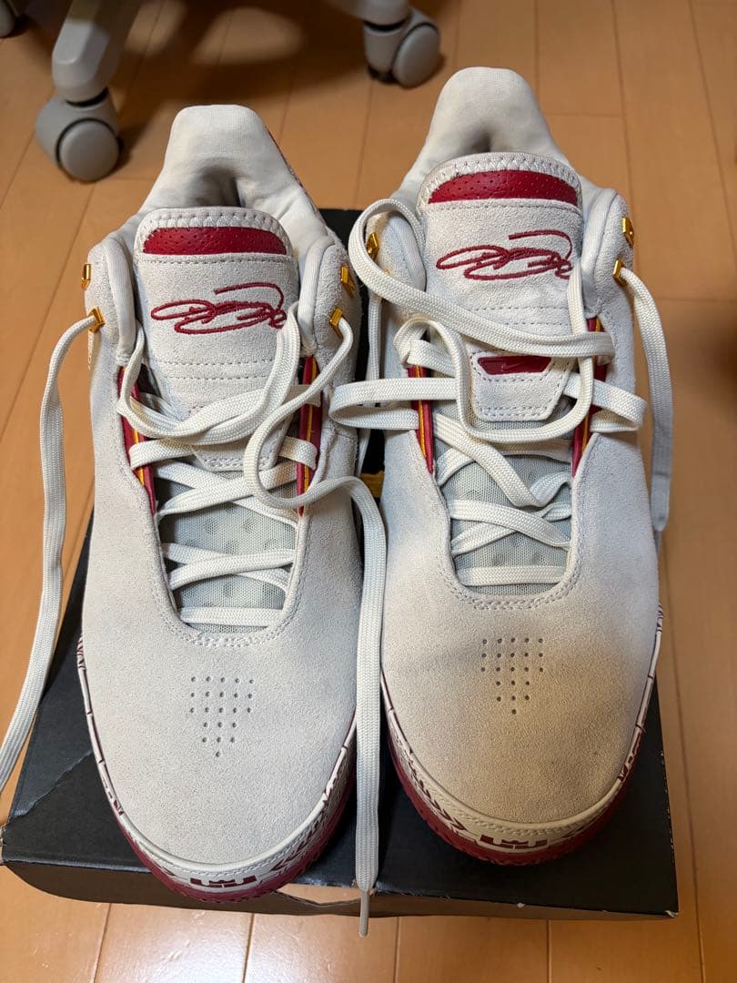 NIKEバスケットシューズ ズーム レブロン
