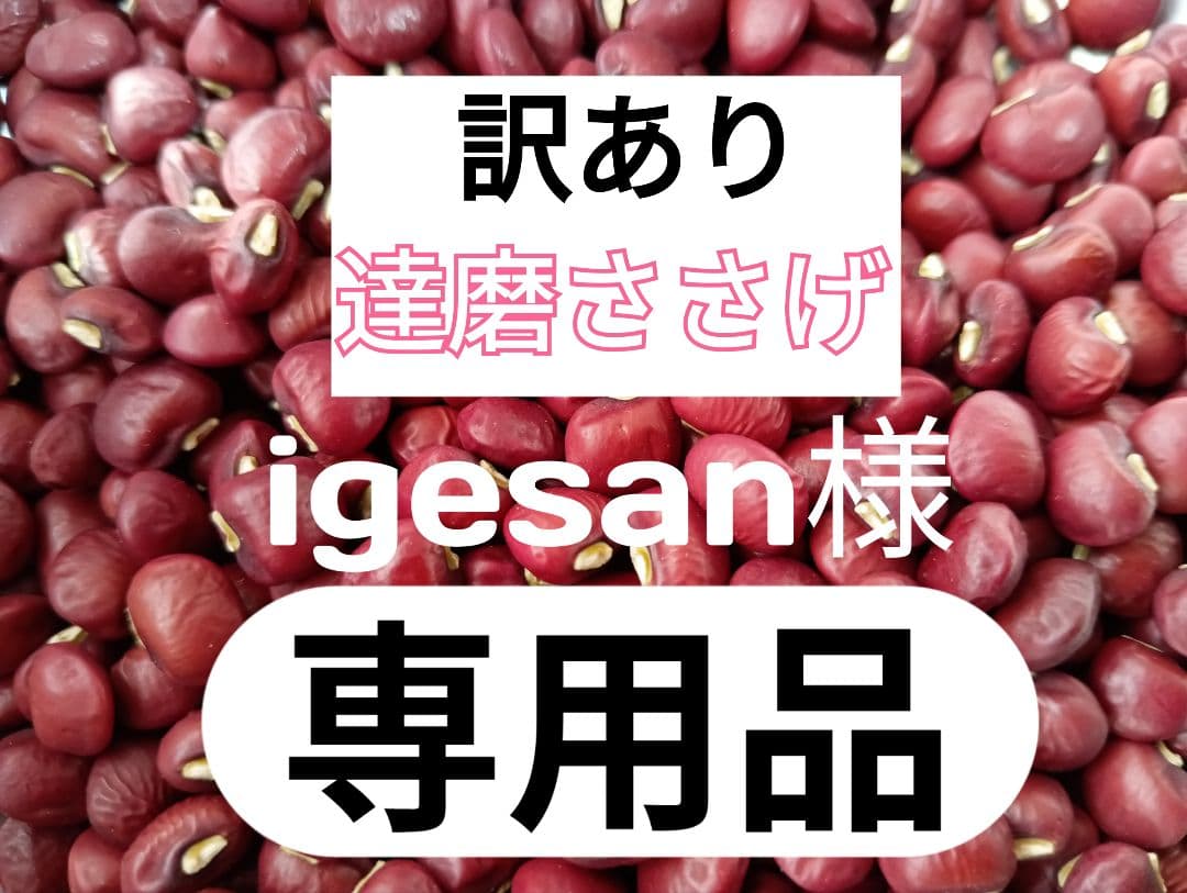 専用品です