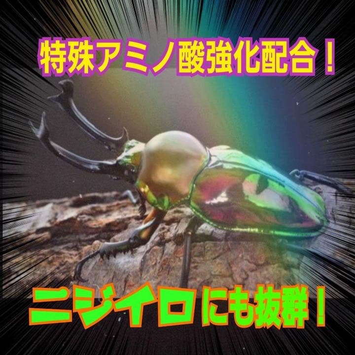 極上！ヒマラヤひらたけ菌糸ブロック【6個】トレハロース強化配合！オオクワに抜群！