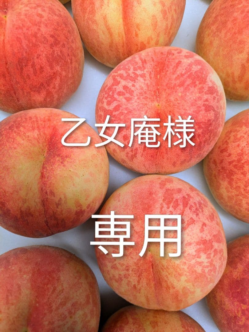 乙女庵　３箱