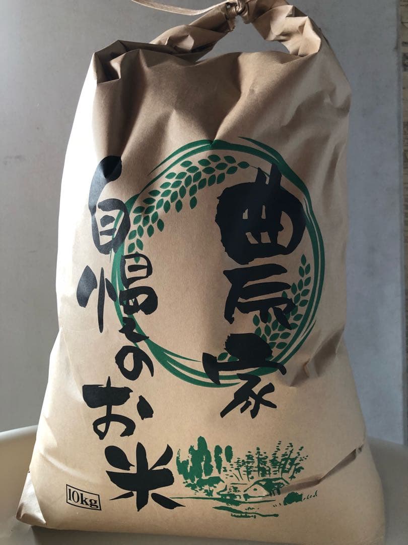 コシヒカリ精米済白米10kg 令和7年収穫分　三重県産