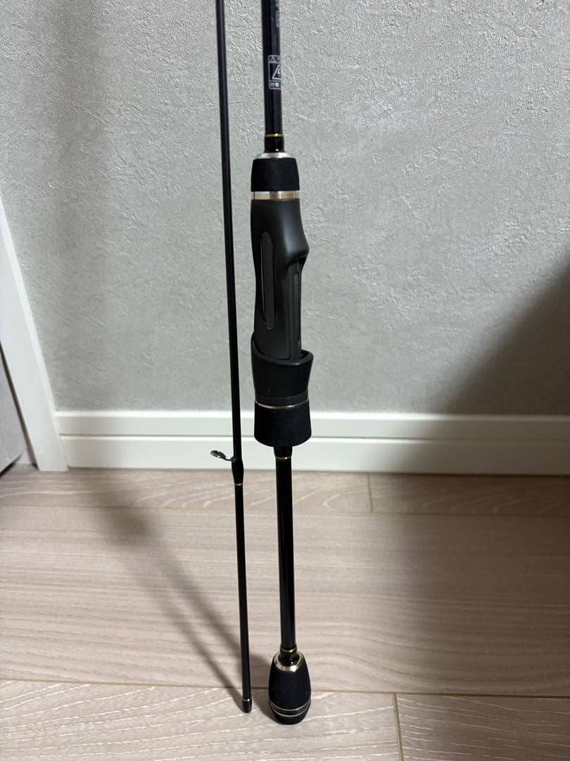 テイルウォーク アジストSSD 510