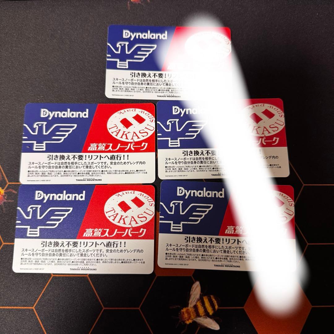ダイナランド　高鷲スノーパーク　共通リフト券 2枚