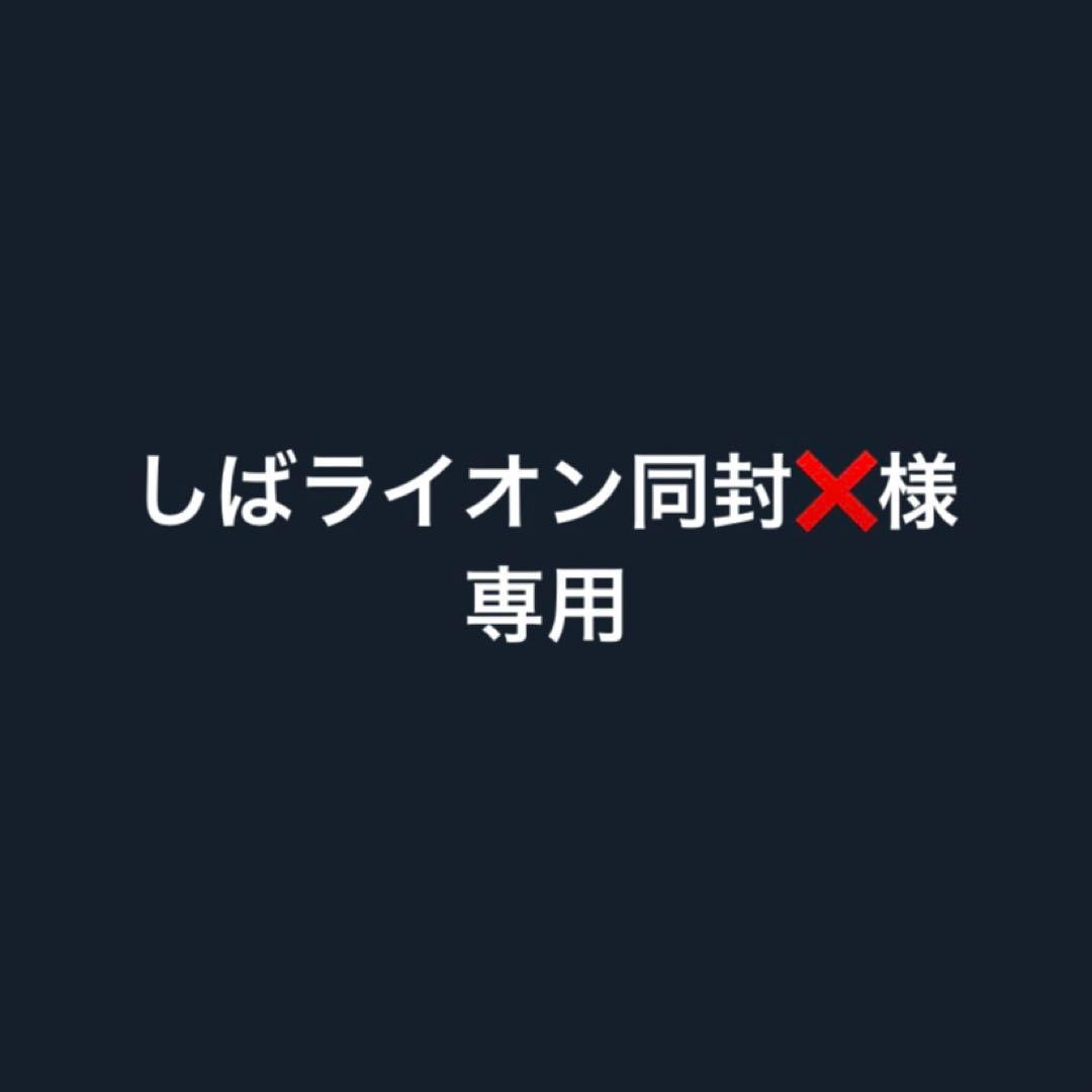 しばライオン同封❌出品