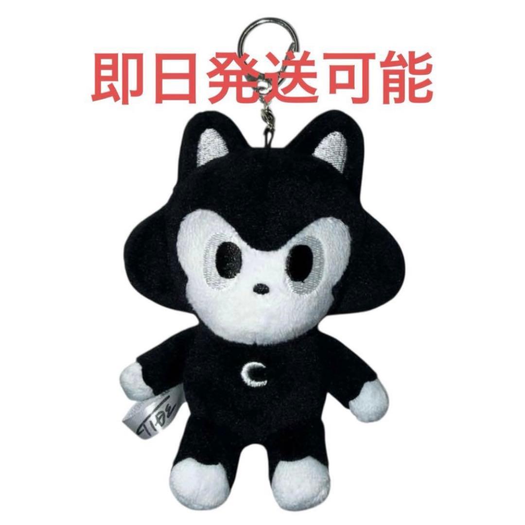 正規 イデタツヒロ Ide Tatsuhiro TIDE CAT
