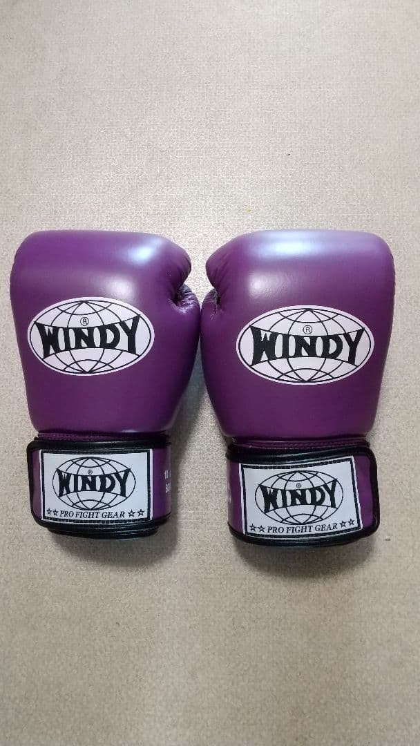 本革製WINDYボクシンググローブ10oz 紫パープル キックボクシング NNP