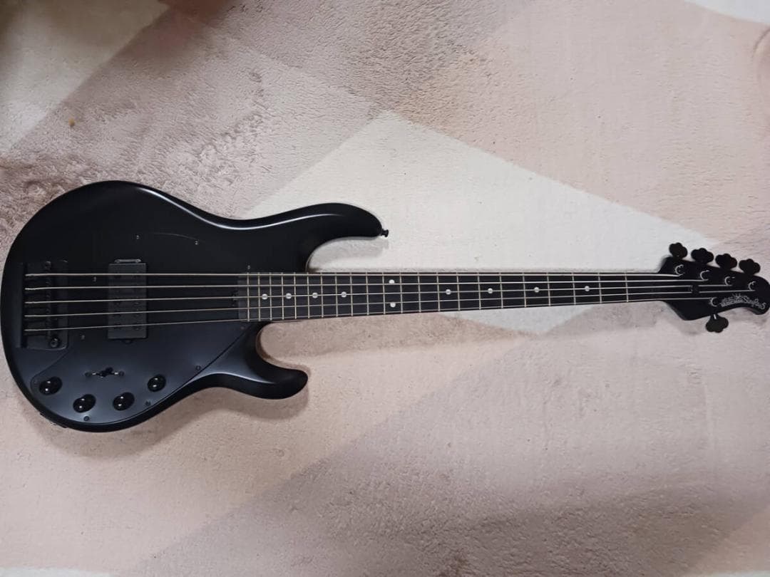 Ernieball MUSICMAN Stingray 5H ミュージックマン