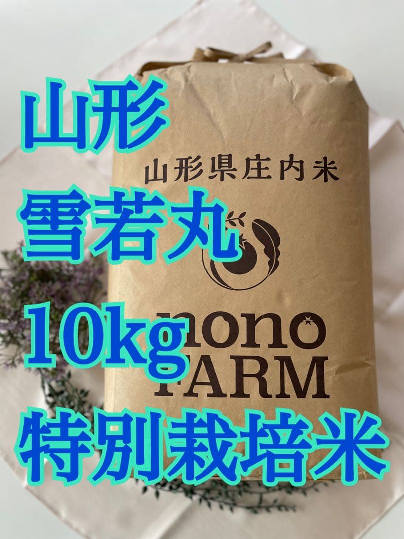 雪若丸　10kg 令和7年　山形　特別栽培米