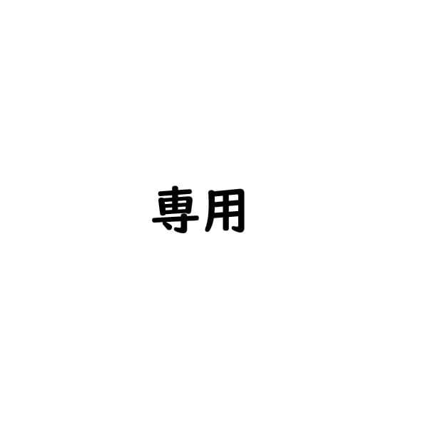 専用　確認用　3