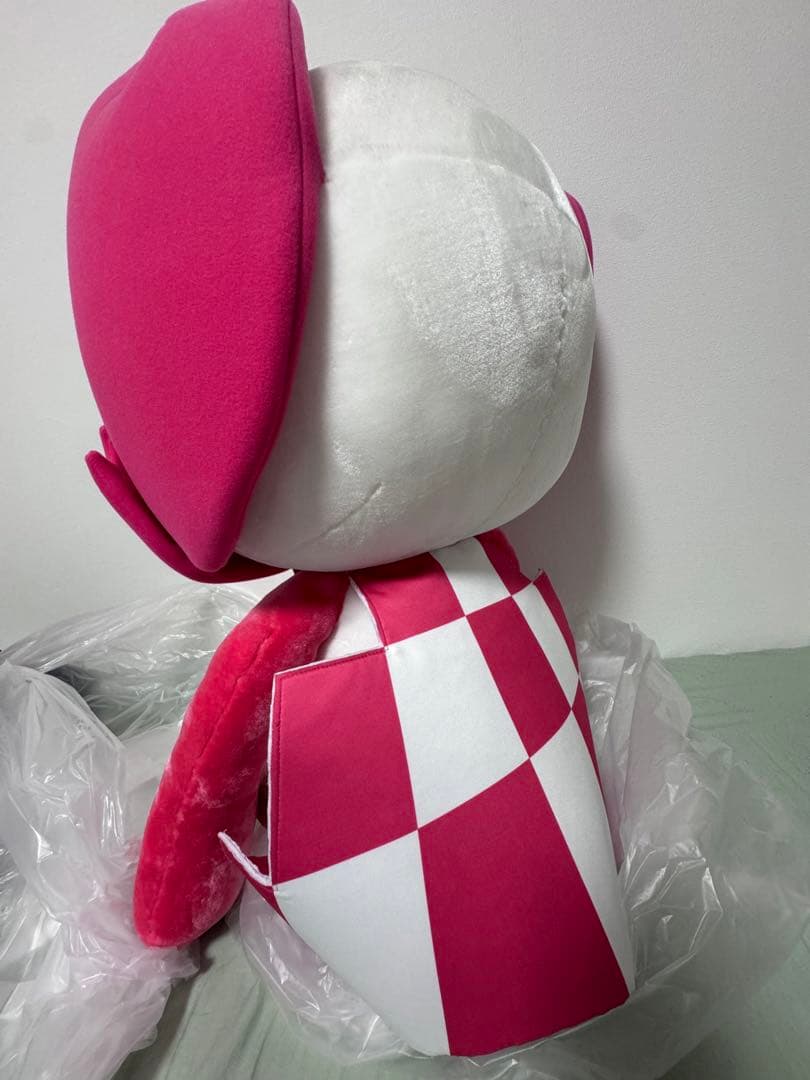 東京オリンピック　パラリンピック　ソメイティ　3L