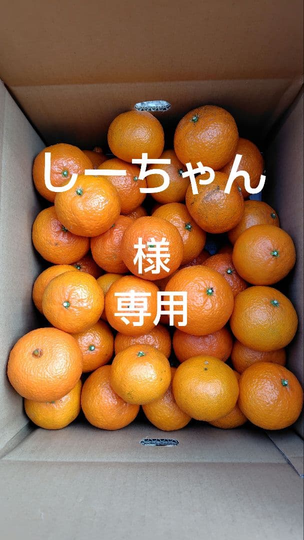 津之輝20㎏(家庭用)しーちゃん