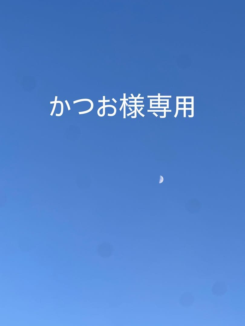 ドールサイズ