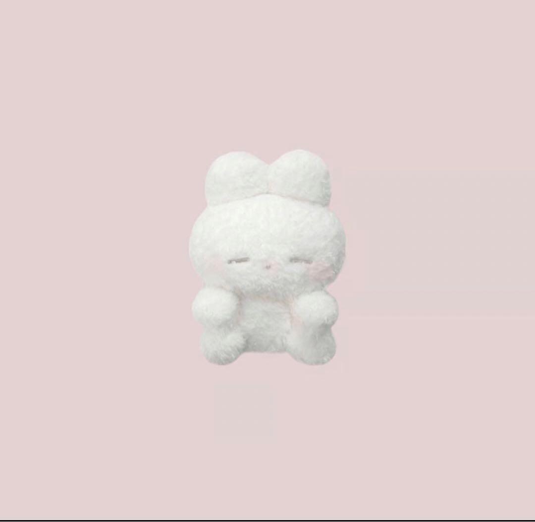 新品未使用　うさぎのねむちゃん　sleepy usagi