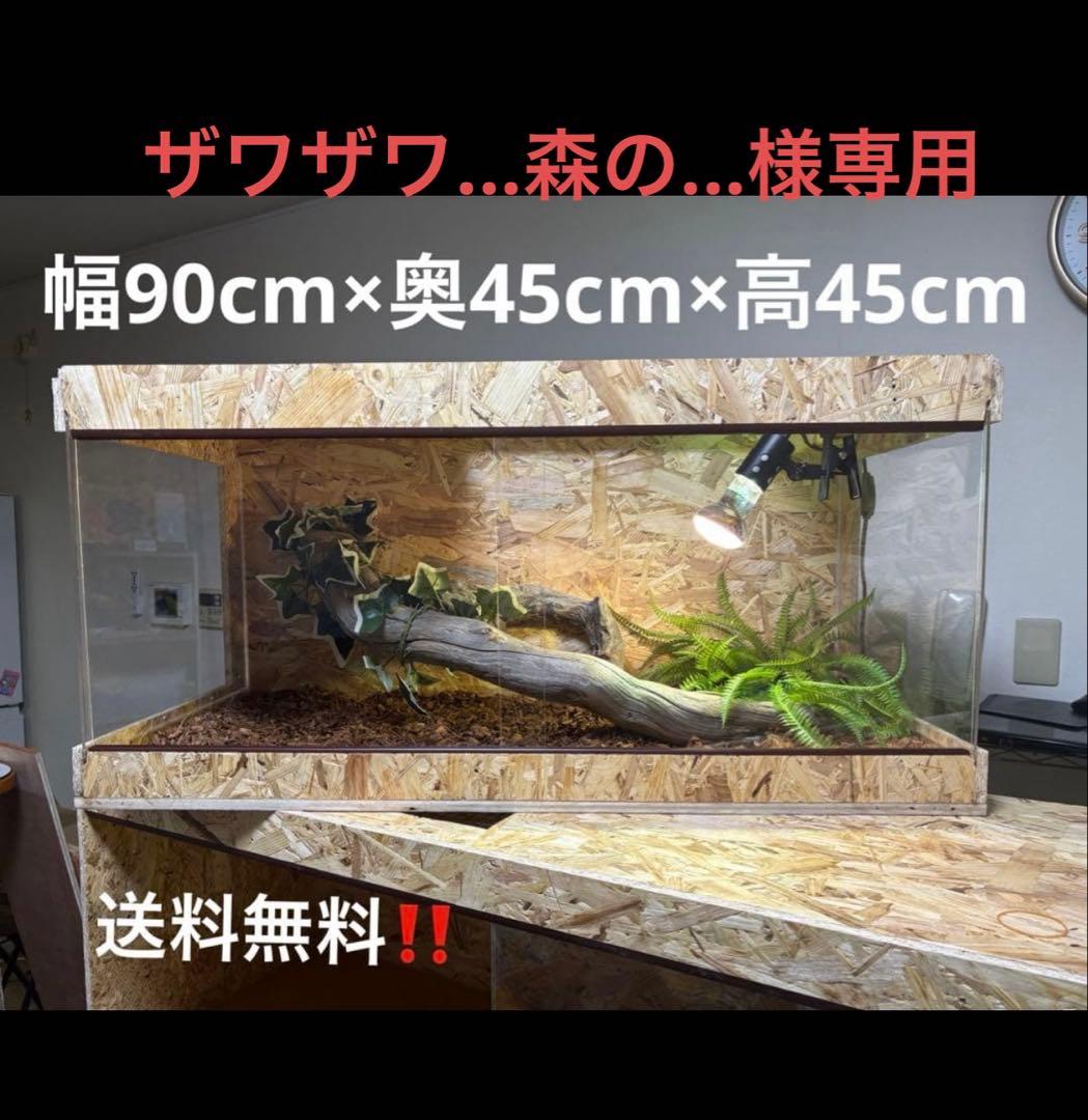 ②ザワザワ...森の...　904545