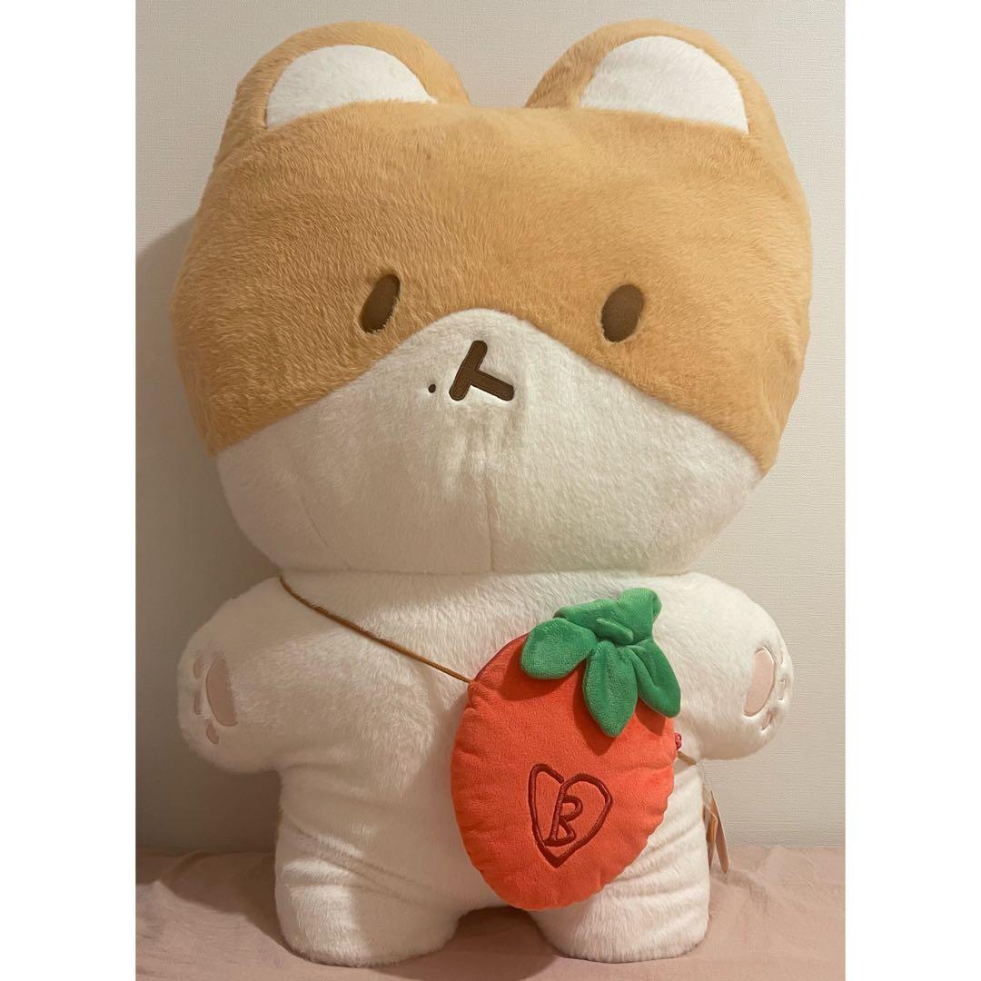 ベッキョン トレギ Baekhyun Teolaegi 80センチぬいぐるみ