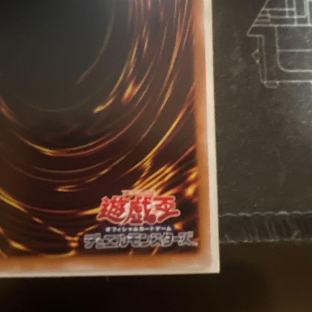 白き竜の落胤