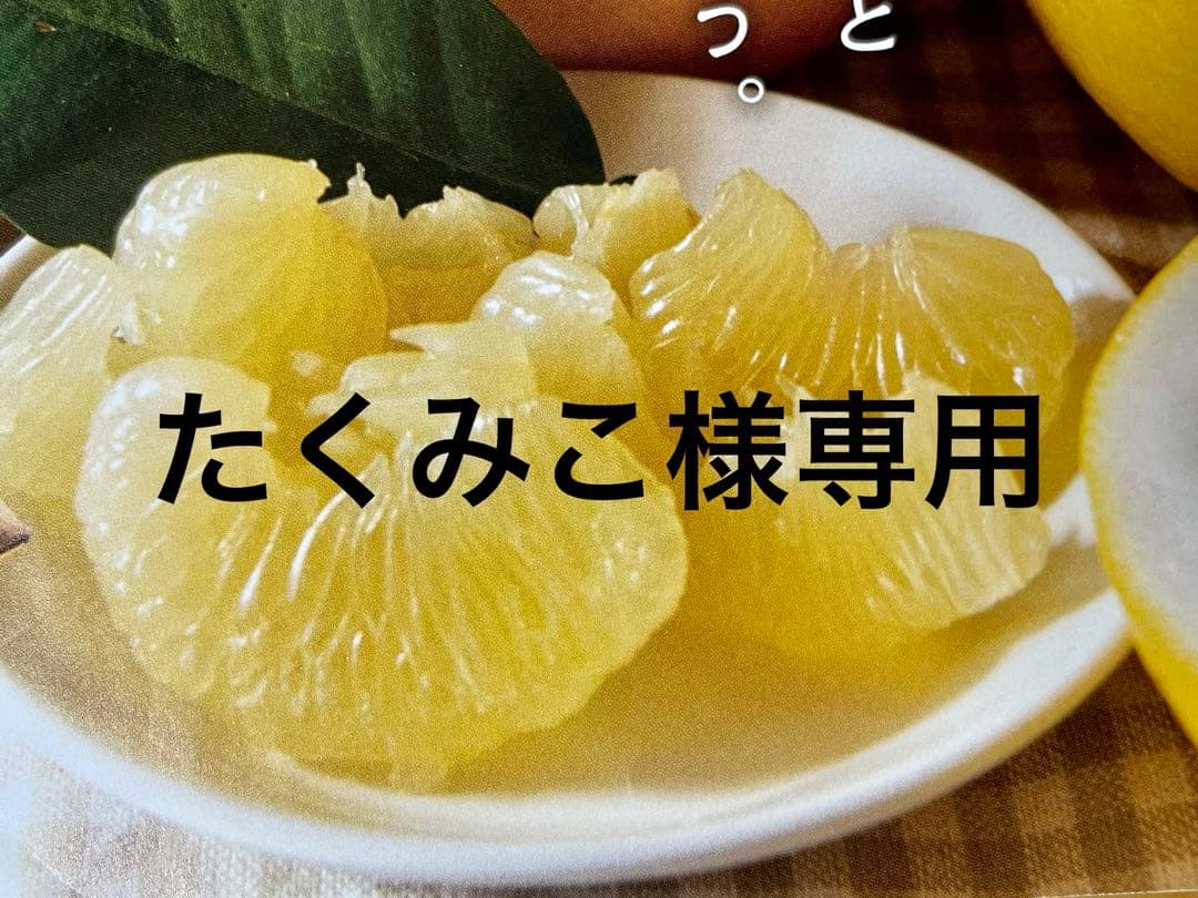 たくみこ　土佐文旦B品大玉20キロ