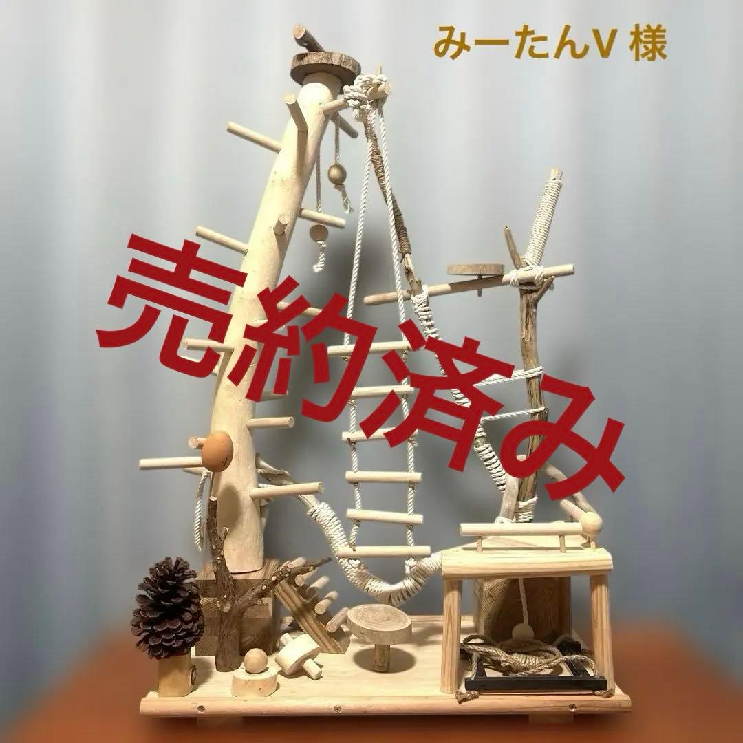 特別注文の品　バードアスレチック