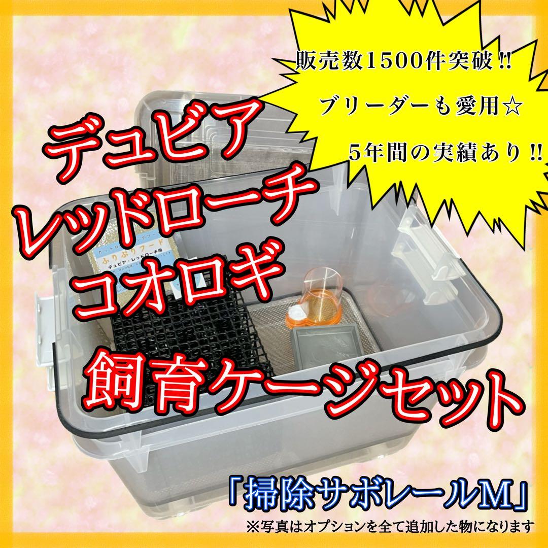 くに様　M(フル)