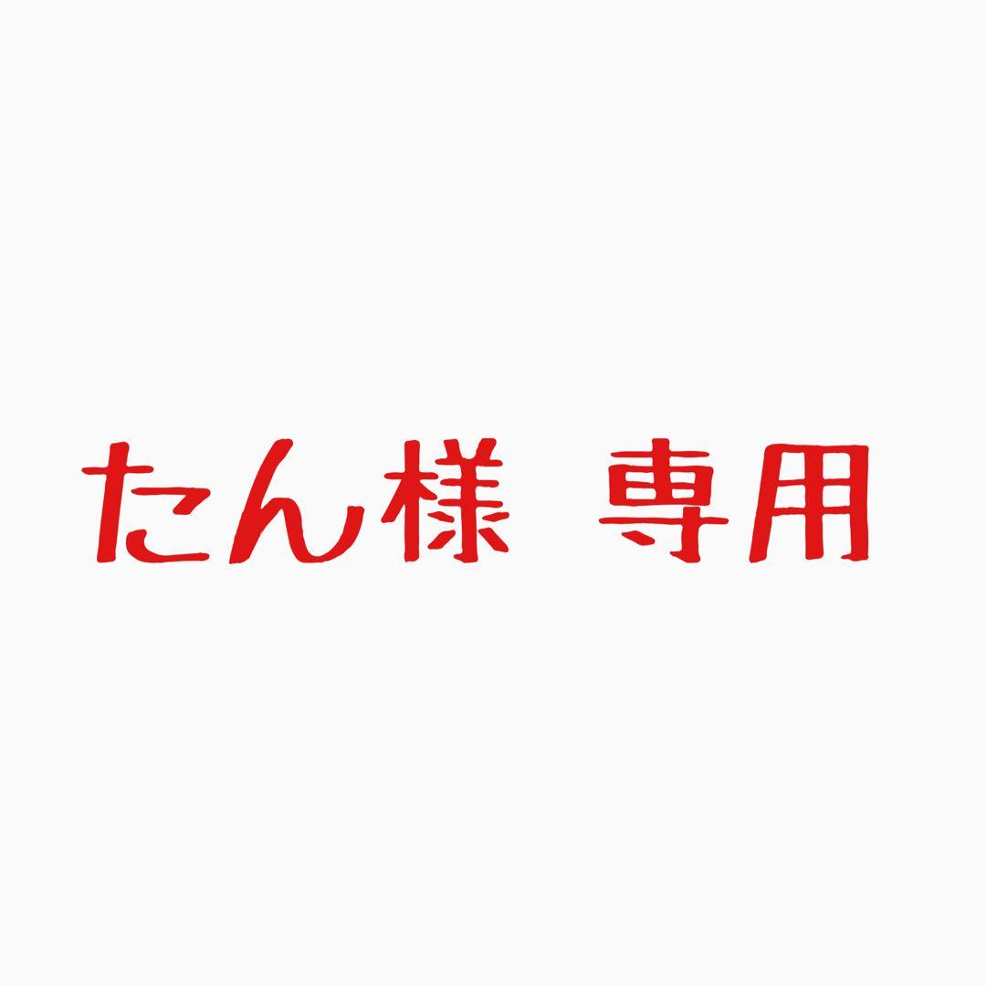 たん エレキベースBacchusWL-434