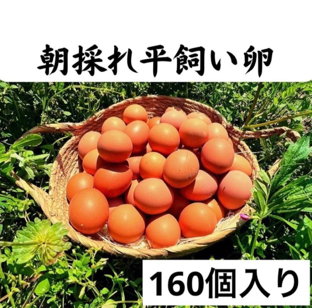 160個入　佐伯養鶏の朝採れ平飼い卵　大分県産
