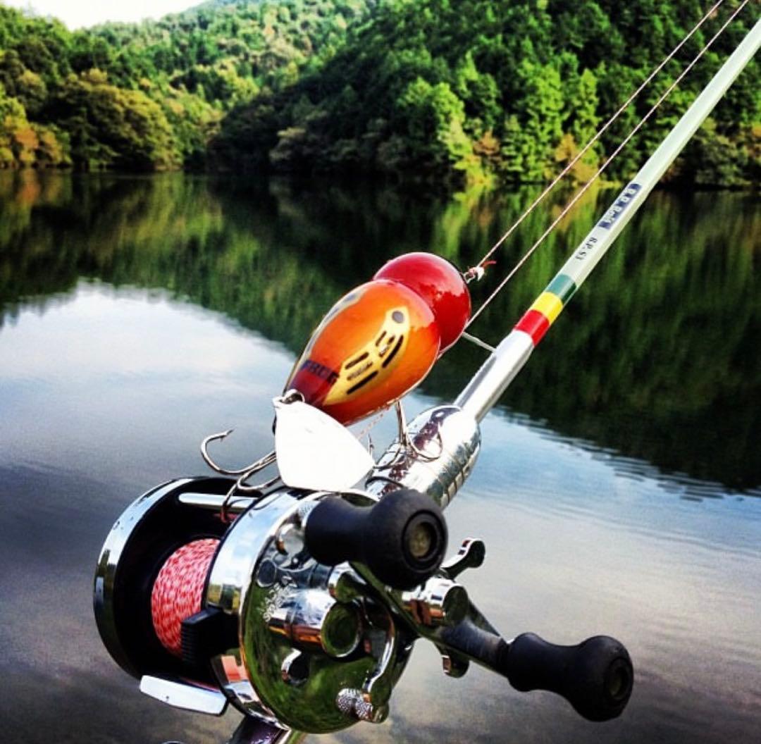 B.P. Bait B.P. S3 5'2\