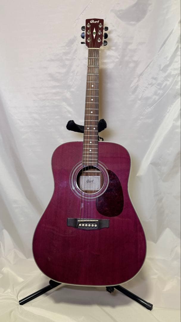 Cort アコースティックギター パープル