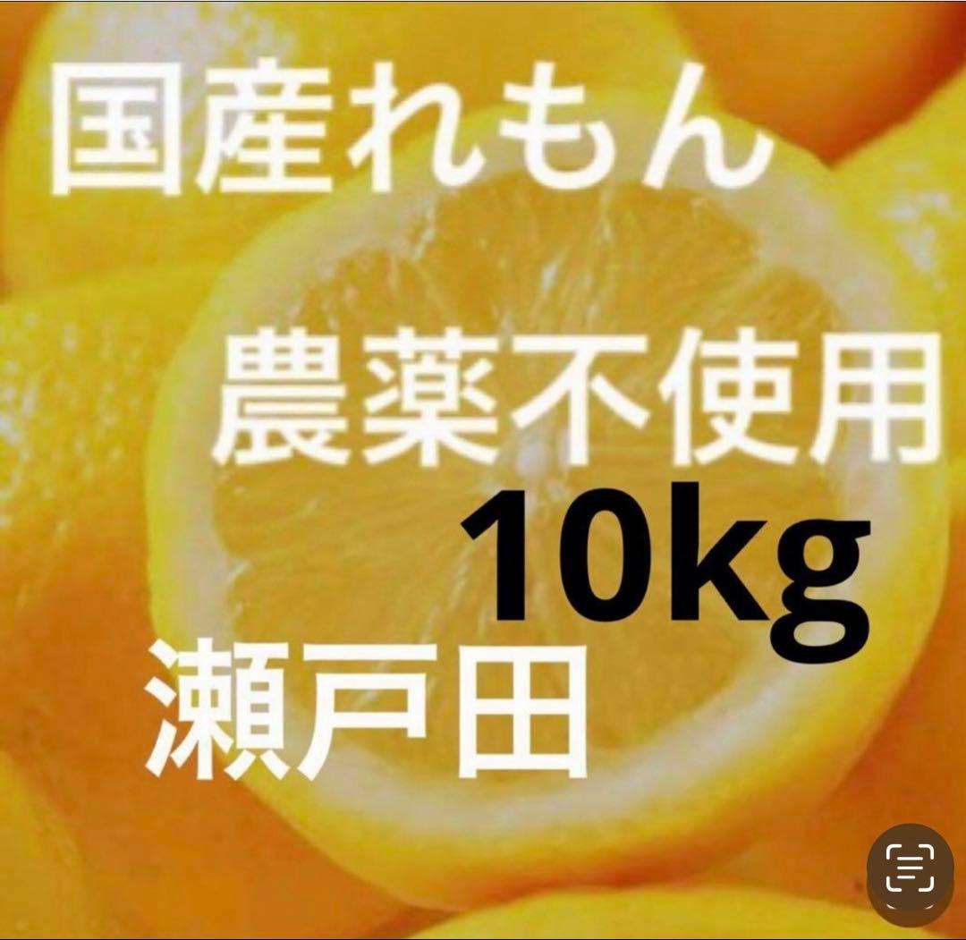 国産瀬戸田レモン..10kg
