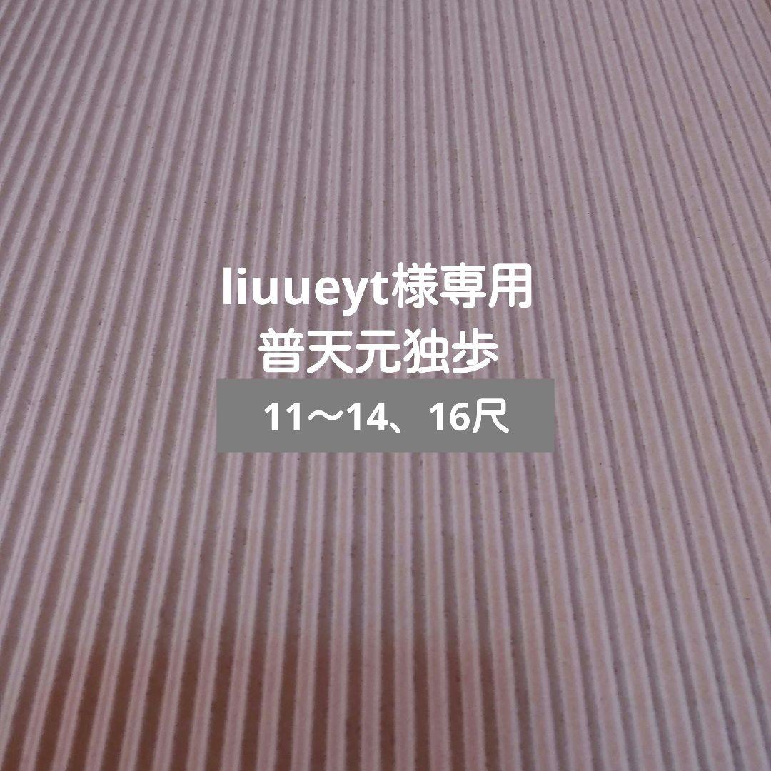 liuueyt　へら竿　5点