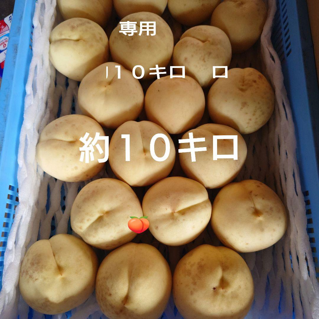 専用です。