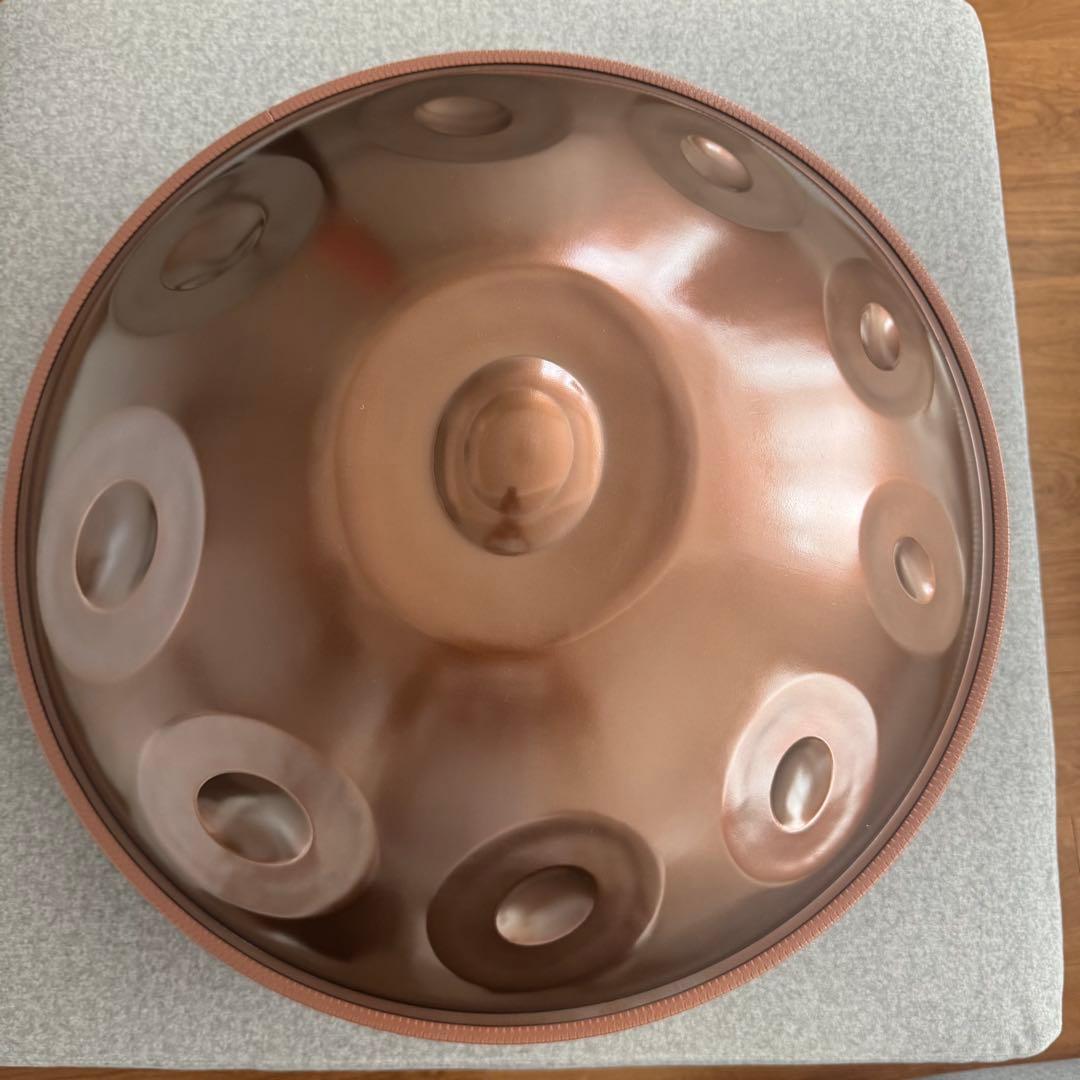 専用です　　　　　 LYハンドパンD kurd 10