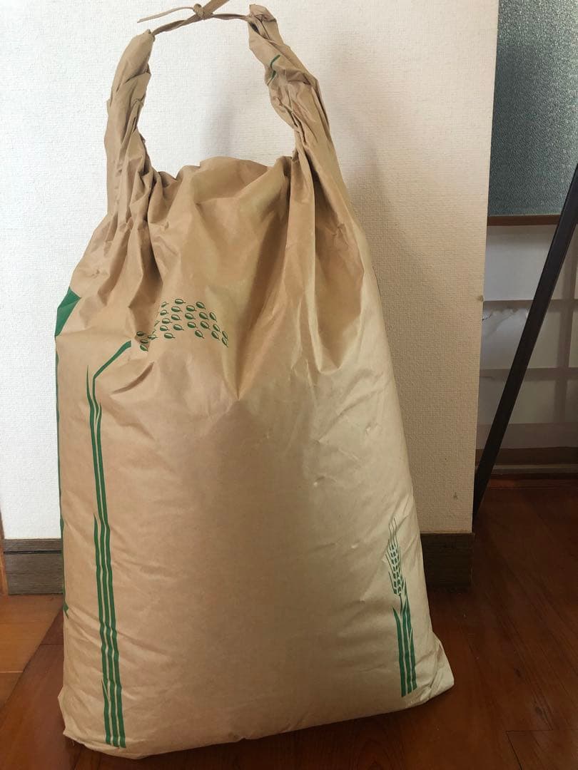 令和7年度収穫 ヒノヒカリ 白米 10kg