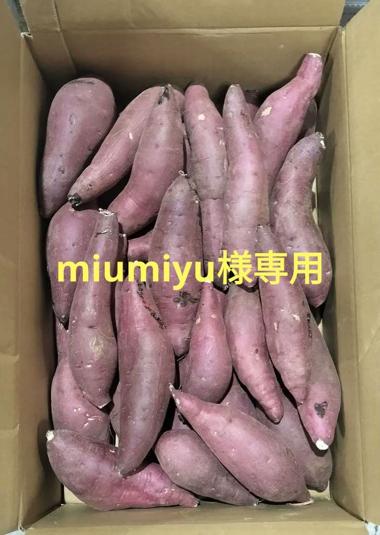 ■茨城県産■旭甘十郎■紅はるか■特秀Mサイズ■約10キロ■
