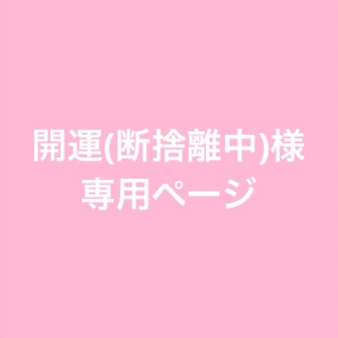 【ご本人以外購入禁止】 開運(断捨離中)様リクエスト品