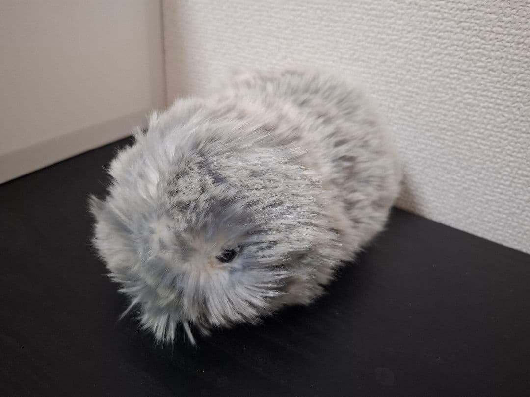 モフリンmoflin