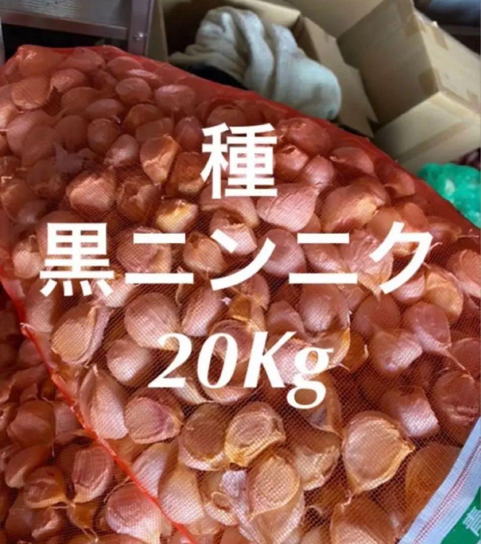 新物　青森バラにんにく20Kg 大