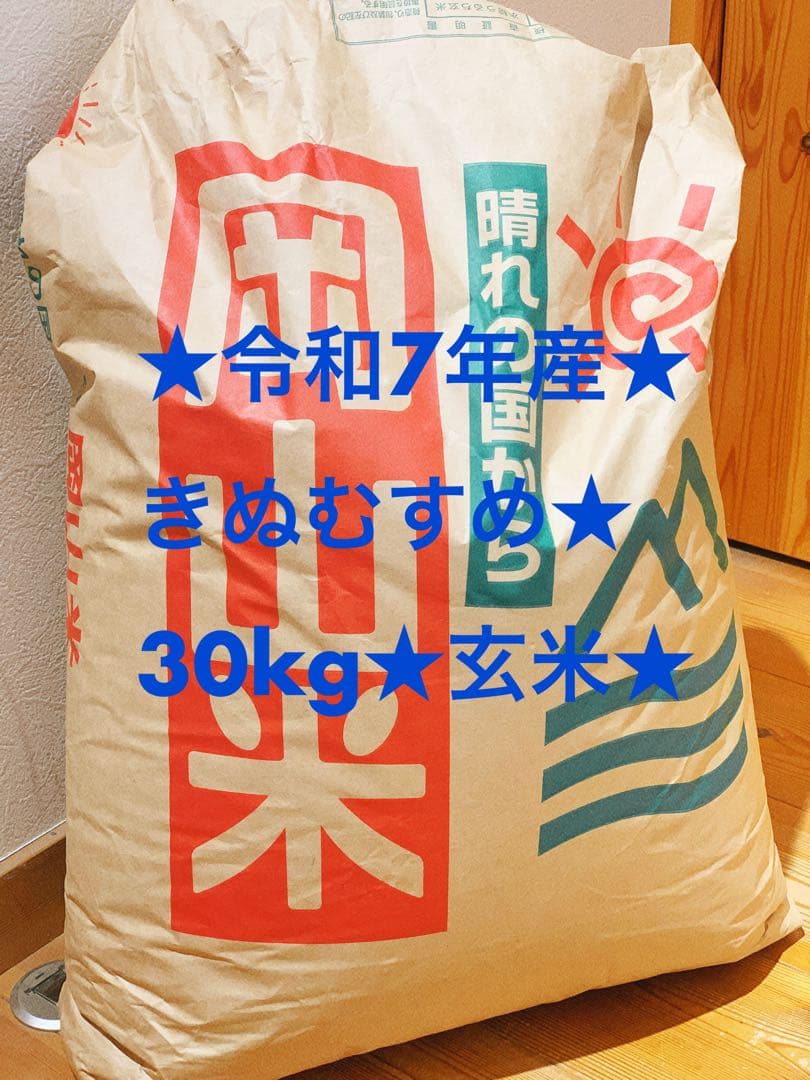 農家直送★きぬむすめ 30kg 玄米 令和7年産